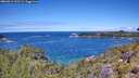 ./images/calvert/foggy-cove/20260611/foggy-cove20260611_121502M.jpg