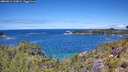 ./images/calvert/foggy-cove/20260611/foggy-cove20260611_123001M.jpg