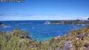 ./images/calvert/foggy-cove/20260611/foggy-cove20260611_123501M.jpg