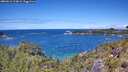 ./images/calvert/foggy-cove/20260611/foggy-cove20260611_124001M.jpg
