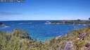 ./images/calvert/foggy-cove/20260611/foggy-cove20260611_130001M.jpg