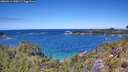 ./images/calvert/foggy-cove/20260611/foggy-cove20260611_130502M.jpg