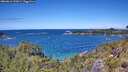 ./images/calvert/foggy-cove/20260611/foggy-cove20260611_131001M.jpg