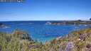 ./images/calvert/foggy-cove/20260611/foggy-cove20260611_131502M.jpg