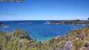 ./images/calvert/foggy-cove/20260611/foggy-cove20260611_132001M.jpg