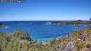 ./images/calvert/foggy-cove/20260611/foggy-cove20260611_132501M.jpg