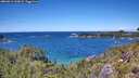 ./images/calvert/foggy-cove/20260611/foggy-cove20260611_133002M.jpg