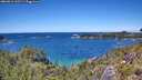 ./images/calvert/foggy-cove/20260611/foggy-cove20260611_133501M.jpg