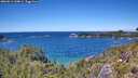 ./images/calvert/foggy-cove/20260611/foggy-cove20260611_134001M.jpg