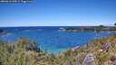 ./images/calvert/foggy-cove/20260611/foggy-cove20260611_134501M.jpg