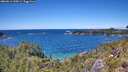./images/calvert/foggy-cove/20260611/foggy-cove20260611_135002M.jpg