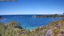 ./images/calvert/foggy-cove/20260611/foggy-cove20260611_135501M.jpg