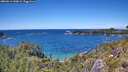 ./images/calvert/foggy-cove/20260611/foggy-cove20260611_140001M.jpg