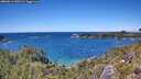 ./images/calvert/foggy-cove/20260611/foggy-cove20260611_140501M.jpg
