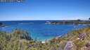 ./images/calvert/foggy-cove/20260611/foggy-cove20260611_141001M.jpg