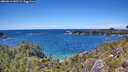 ./images/calvert/foggy-cove/20260611/foggy-cove20260611_141501M.jpg