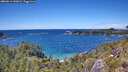 ./images/calvert/foggy-cove/20260611/foggy-cove20260611_142001M.jpg