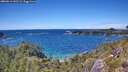 ./images/calvert/foggy-cove/20260611/foggy-cove20260611_142501M.jpg