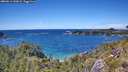 ./images/calvert/foggy-cove/20260611/foggy-cove20260611_143001M.jpg