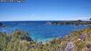 ./images/calvert/foggy-cove/20260611/foggy-cove20260611_144001M.jpg