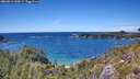 ./images/calvert/foggy-cove/20260611/foggy-cove20260611_144501M.jpg