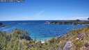 ./images/calvert/foggy-cove/20260611/foggy-cove20260611_145001M.jpg