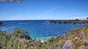 ./images/calvert/foggy-cove/20260611/foggy-cove20260611_150001M.jpg