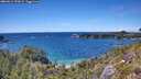 ./images/calvert/foggy-cove/20260611/foggy-cove20260611_152002M.jpg