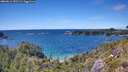 ./images/calvert/foggy-cove/20260611/foggy-cove20260611_152501M.jpg