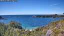 ./images/calvert/foggy-cove/20260611/foggy-cove20260611_155001M.jpg