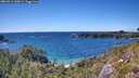 ./images/calvert/foggy-cove/20260611/foggy-cove20260611_160001M.jpg
