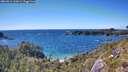 ./images/calvert/foggy-cove/20260611/foggy-cove20260611_162001M.jpg