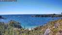 ./images/calvert/foggy-cove/20260611/foggy-cove20260611_162501M.jpg