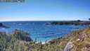 ./images/calvert/foggy-cove/20260611/foggy-cove20260611_164502M.jpg