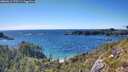 ./images/calvert/foggy-cove/20260611/foggy-cove20260611_170501M.jpg
