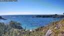 ./images/calvert/foggy-cove/20260611/foggy-cove20260611_172501M.jpg