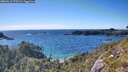 ./images/calvert/foggy-cove/20260611/foggy-cove20260611_173501M.jpg