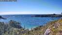 ./images/calvert/foggy-cove/20260611/foggy-cove20260611_174002M.jpg