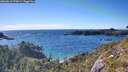 ./images/calvert/foggy-cove/20260611/foggy-cove20260611_175001M.jpg