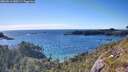 ./images/calvert/foggy-cove/20260611/foggy-cove20260611_180501M.jpg