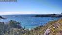 ./images/calvert/foggy-cove/20260611/foggy-cove20260611_181001M.jpg