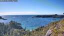 ./images/calvert/foggy-cove/20260611/foggy-cove20260611_181501M.jpg