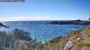 ./images/calvert/foggy-cove/20260611/foggy-cove20260611_182001M.jpg
