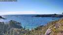 ./images/calvert/foggy-cove/20260611/foggy-cove20260611_182501M.jpg