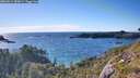 ./images/calvert/foggy-cove/20260611/foggy-cove20260611_183001M.jpg