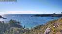 ./images/calvert/foggy-cove/20260611/foggy-cove20260611_183502M.jpg