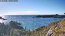 ./images/calvert/foggy-cove/20260611/foggy-cove20260611_185501M.jpg