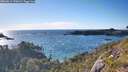 ./images/calvert/foggy-cove/20260611/foggy-cove20260611_190001M.jpg