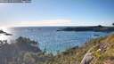./images/calvert/foggy-cove/20260611/foggy-cove20260611_191501M.jpg