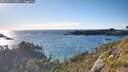 ./images/calvert/foggy-cove/20260611/foggy-cove20260611_192001M.jpg